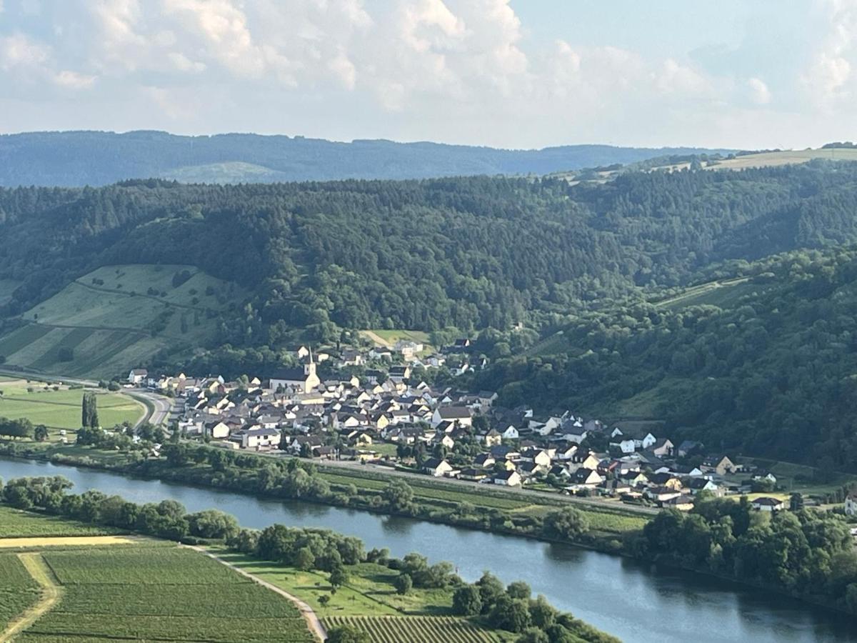 Ferienwohnung "Moseltraum" Ensch Exteriér fotografie
